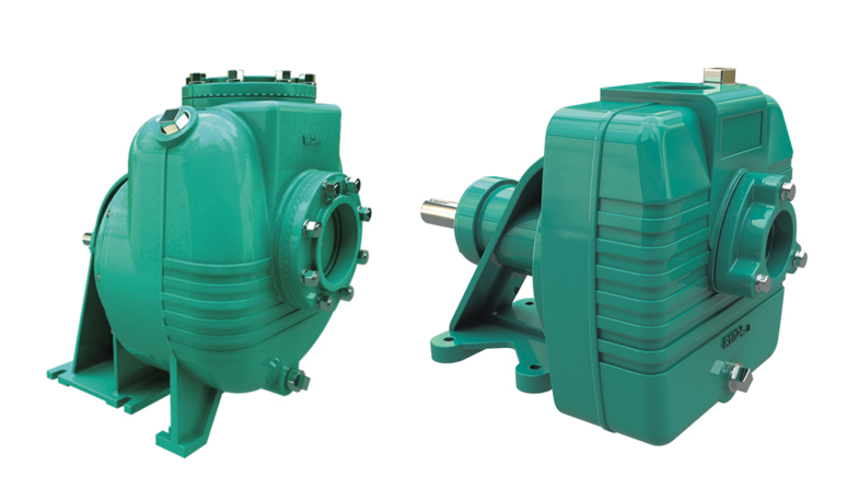 Electrobomba Centrífuga Casera WDM Pumps en Monterrey